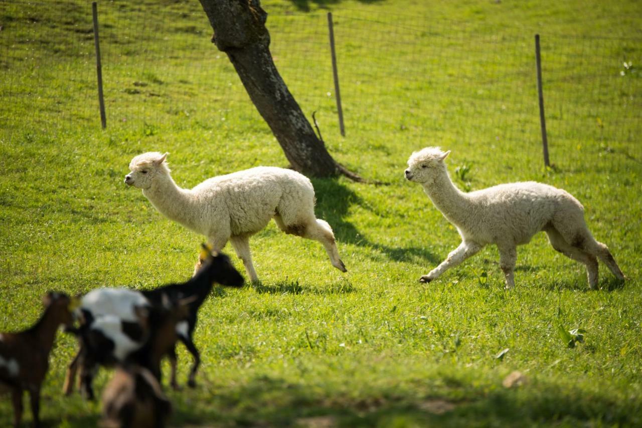 مبيت وإفطار Store Adventure Farm المظهر الخارجي الصورة